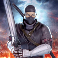 忍者武士马战手机版无限币版