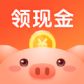 金猪记步最新版官方网页入口