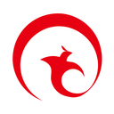 巅峰减重2016老版本