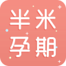 半米孕期专家老版本下载2016