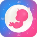 怀孕管家app下载安装官方