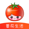 番茄生活网页登录入口下载